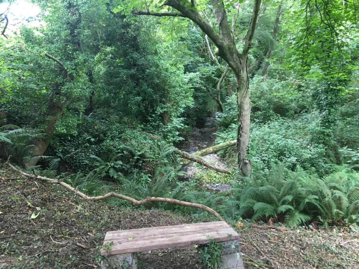 הוילה Wild Coastal Retreat At Troed Y Rhiw Aberporth, West Wales מראה חיצוני תמונה