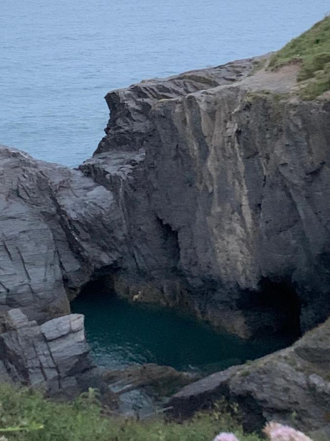 הוילה Wild Coastal Retreat At Troed Y Rhiw Aberporth, West Wales מראה חיצוני תמונה