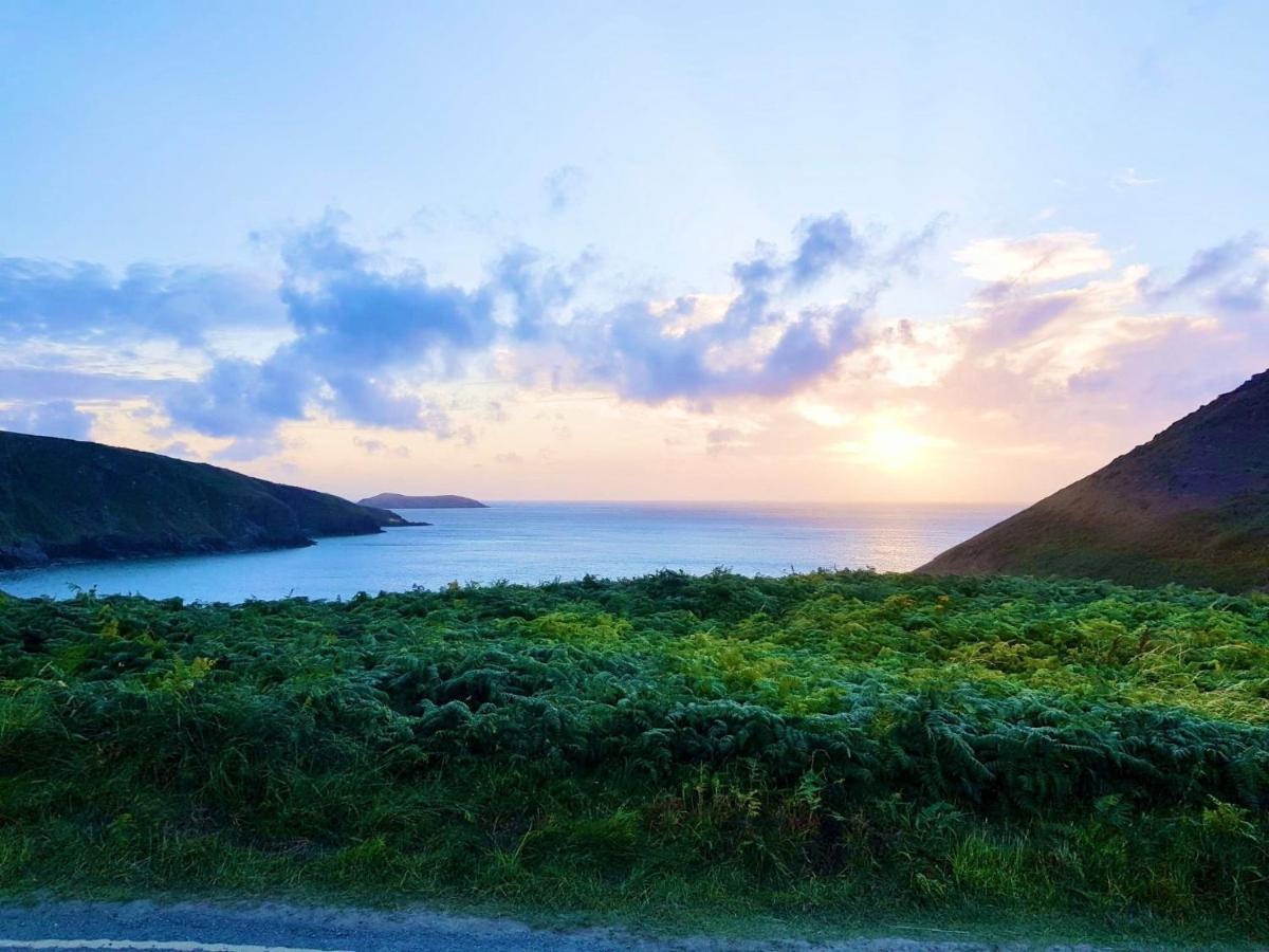 הוילה Wild Coastal Retreat At Troed Y Rhiw Aberporth, West Wales מראה חיצוני תמונה