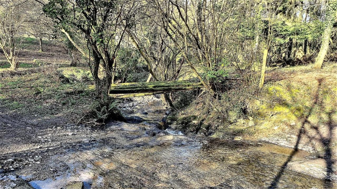 הוילה Wild Coastal Retreat At Troed Y Rhiw Aberporth, West Wales מראה חיצוני תמונה